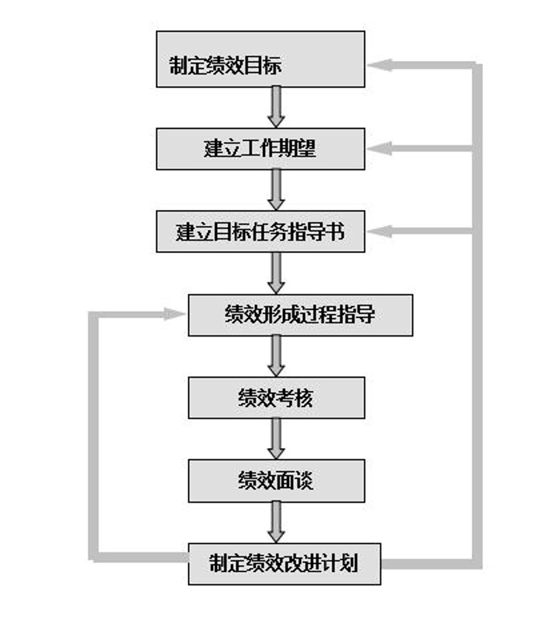 企业组织架构设计：构建高效的管理桥梁